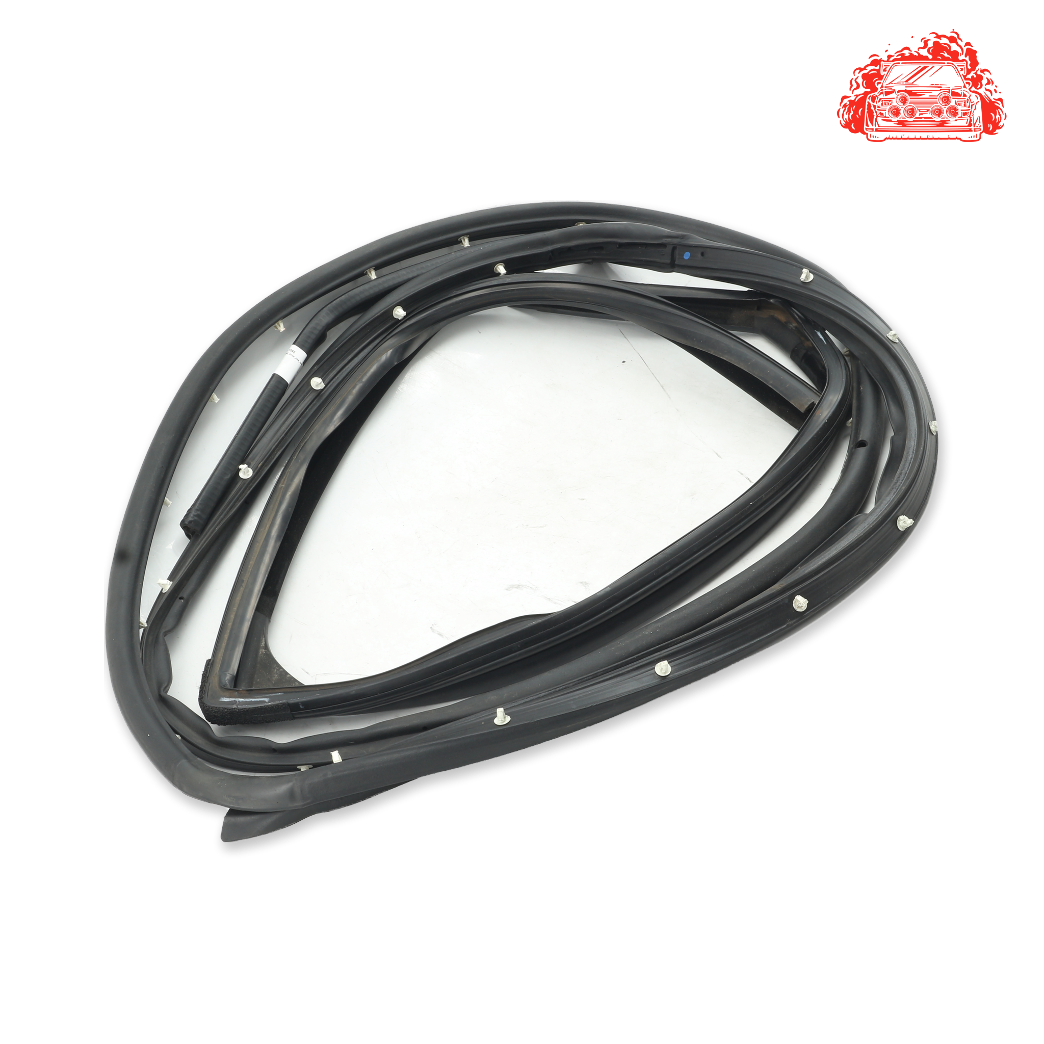 Ford EcoSport Driver Side Rear Door Rubber